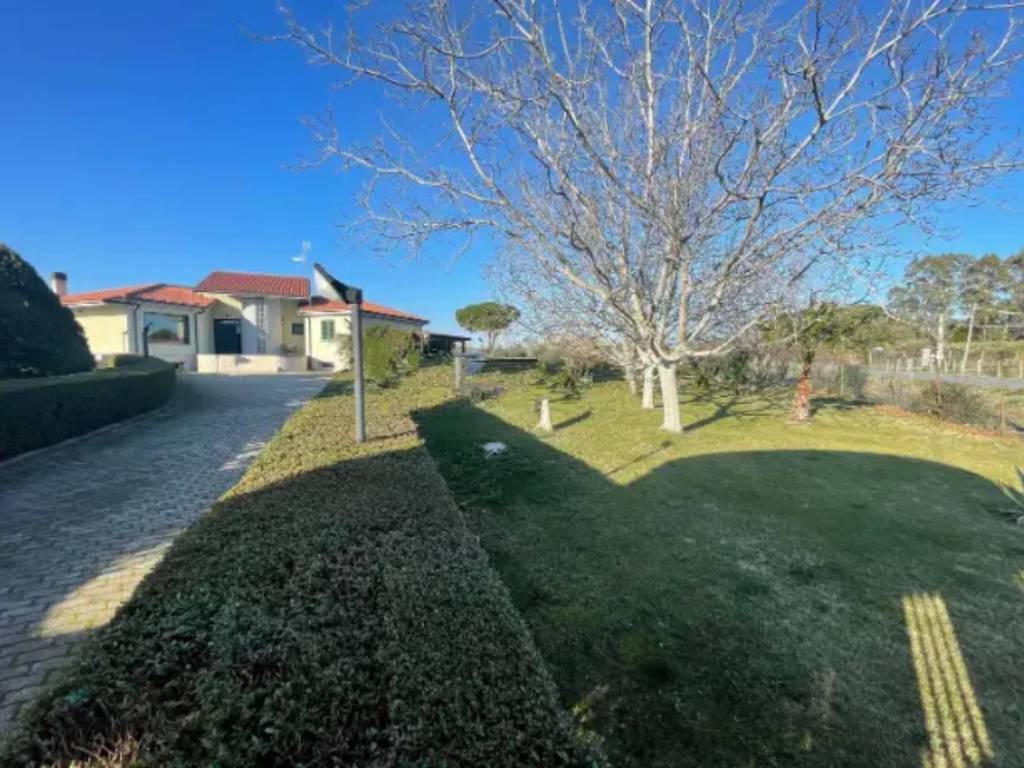 immagine annuncio 3 di 4