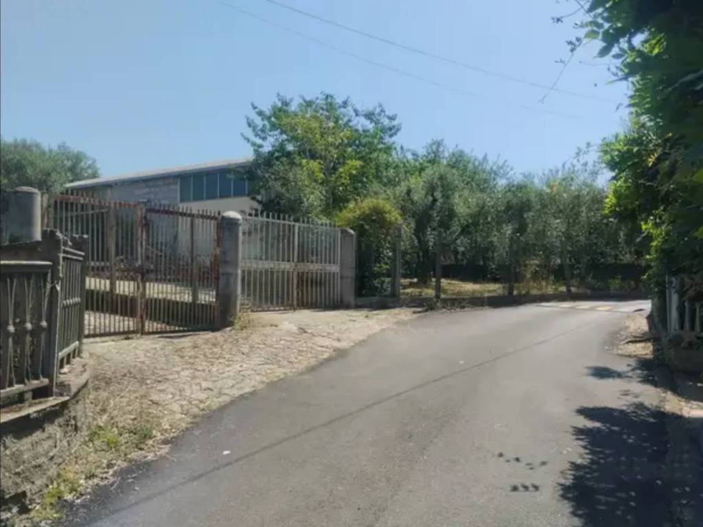 immagine annuncio 1 di 3