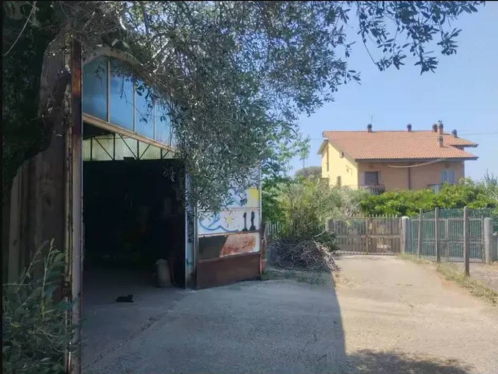 immagine annuncio 2 di 3