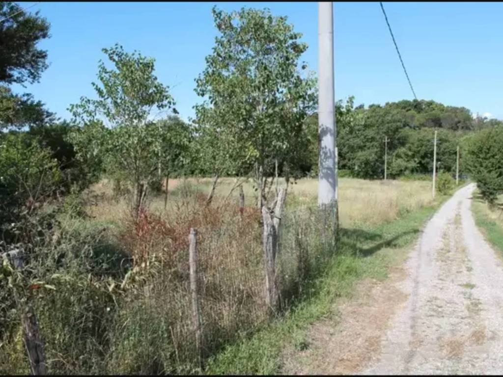 immagine annuncio 2 di 4