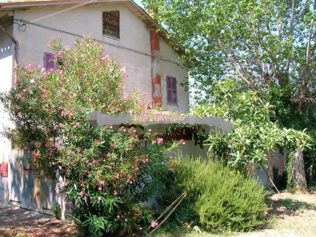 immagine annuncio 1 di 4