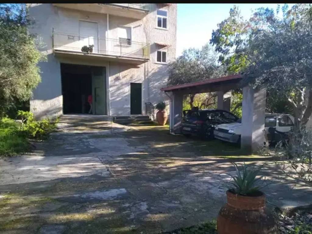 immagine annuncio 2 di 3