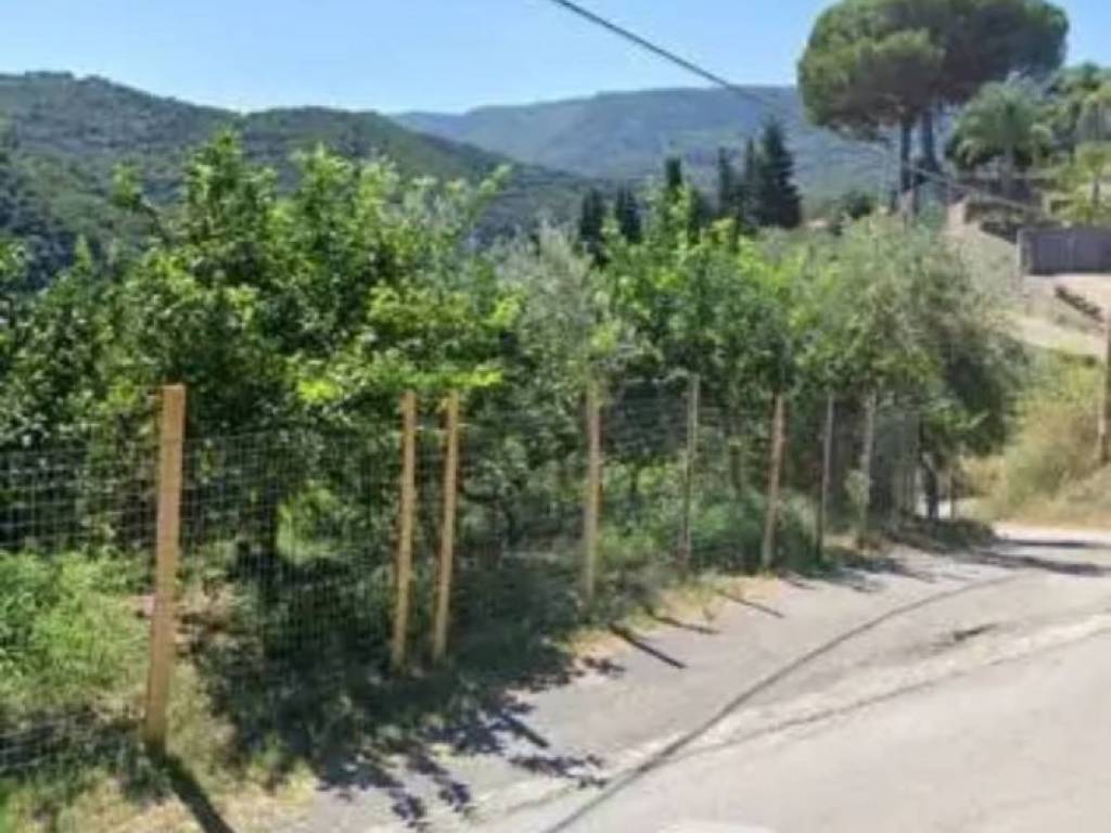 immagine annuncio 3 di 4