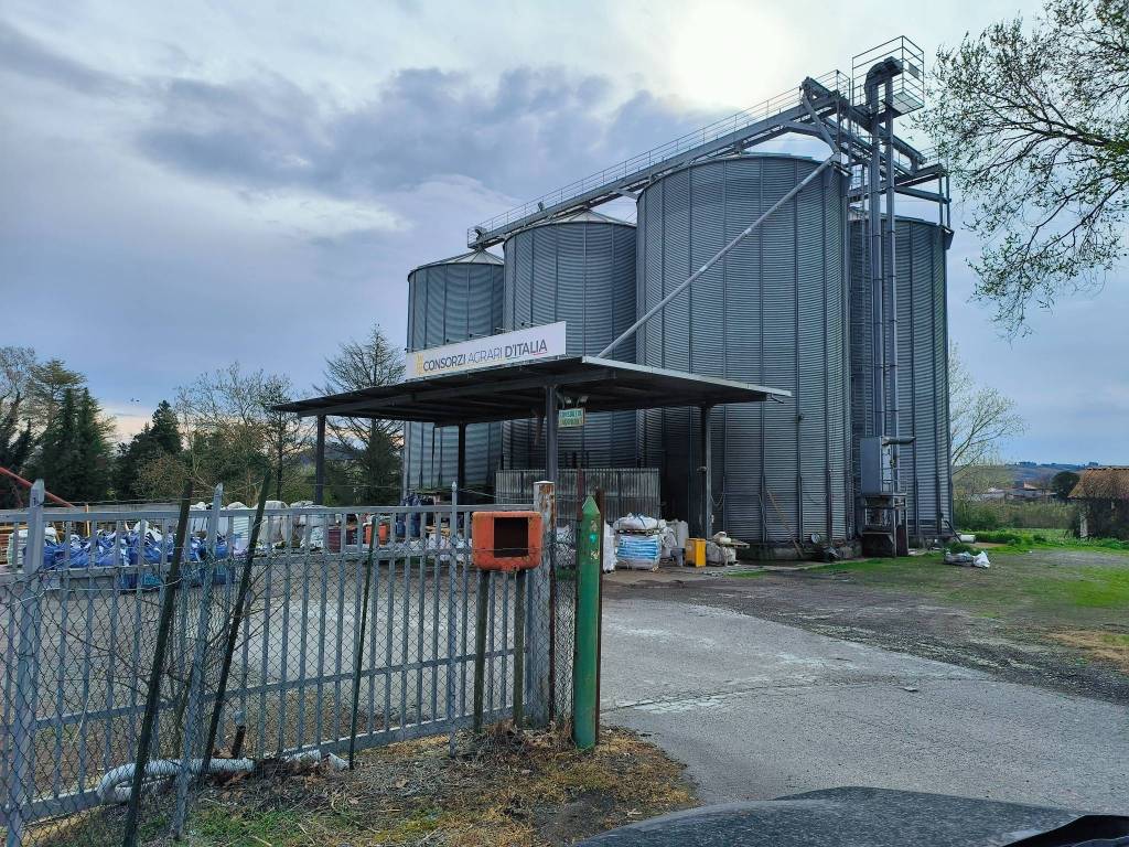 immagine annuncio 1 di 4