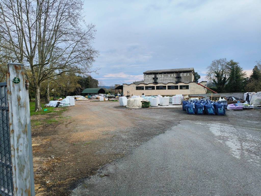 immagine annuncio 2 di 4