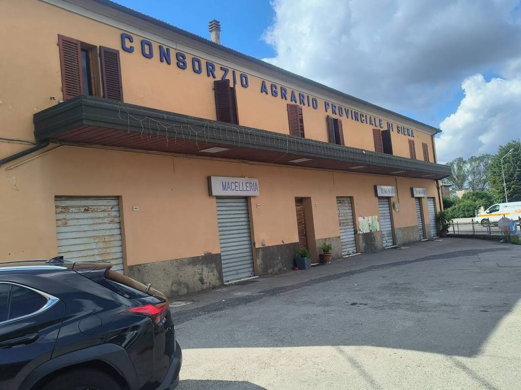immagine annuncio 2 di 3