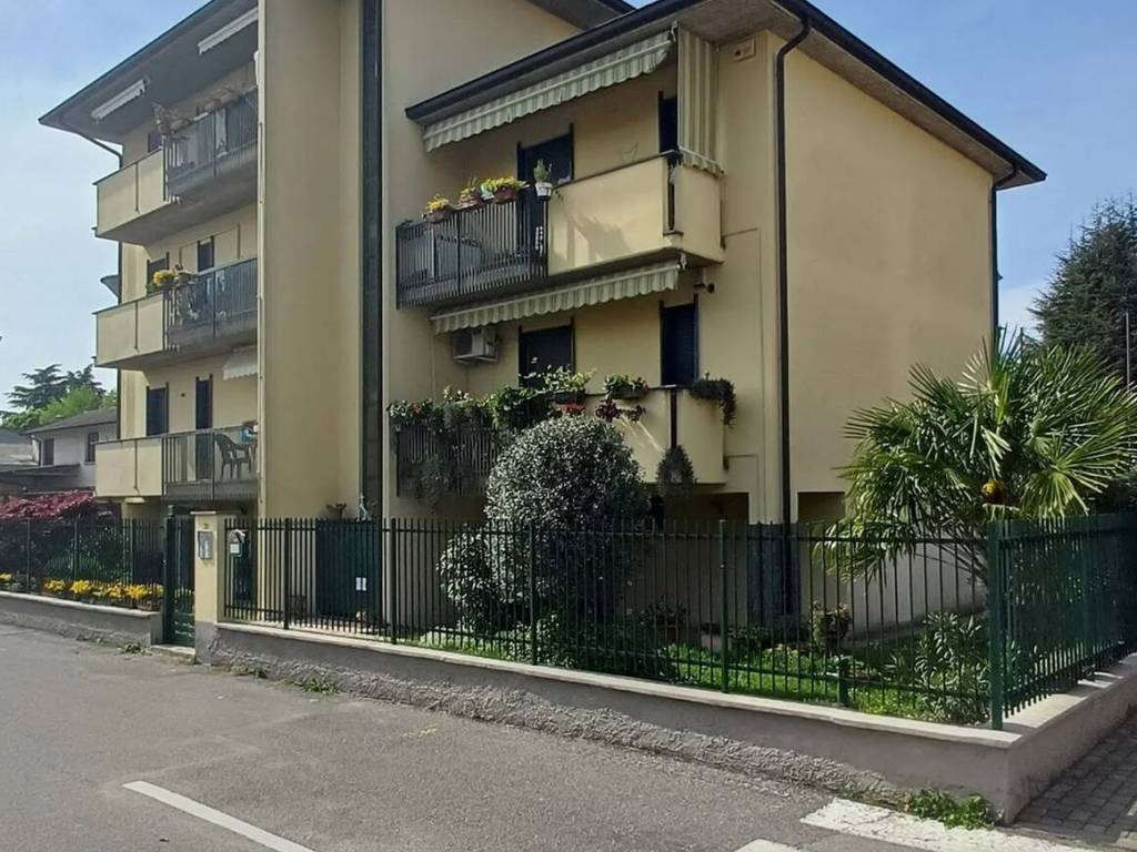 immagine annuncio 3 di 5
