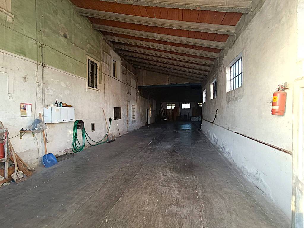 immagine annuncio 2 di 3