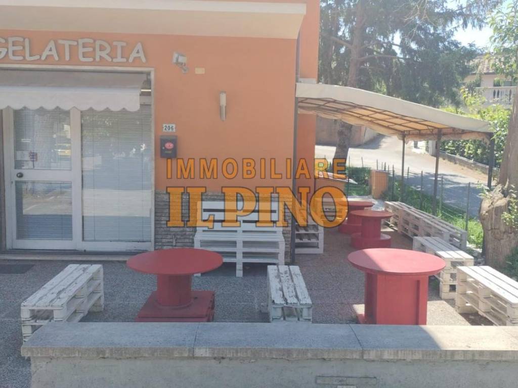 immagine annuncio 2 di 4