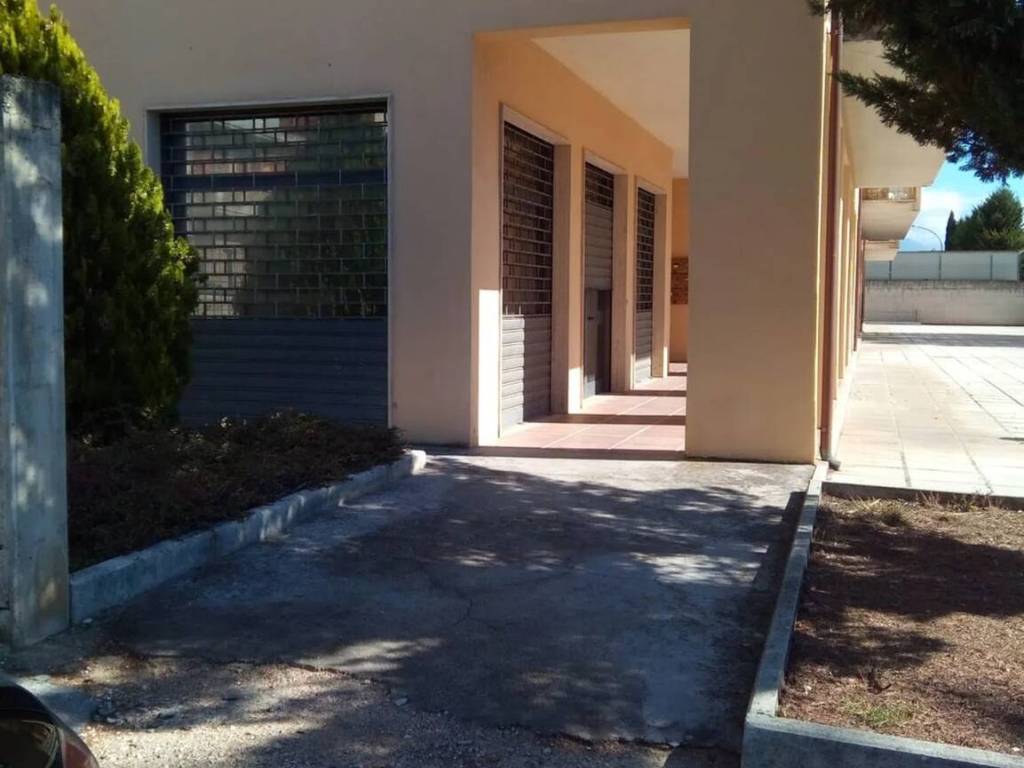 immagine annuncio 2 di 3