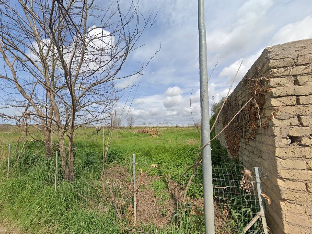 immagine annuncio 2 di 4