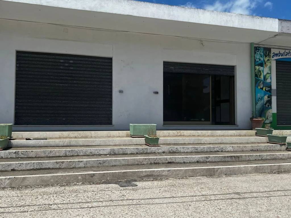 immagine annuncio 3 di 4