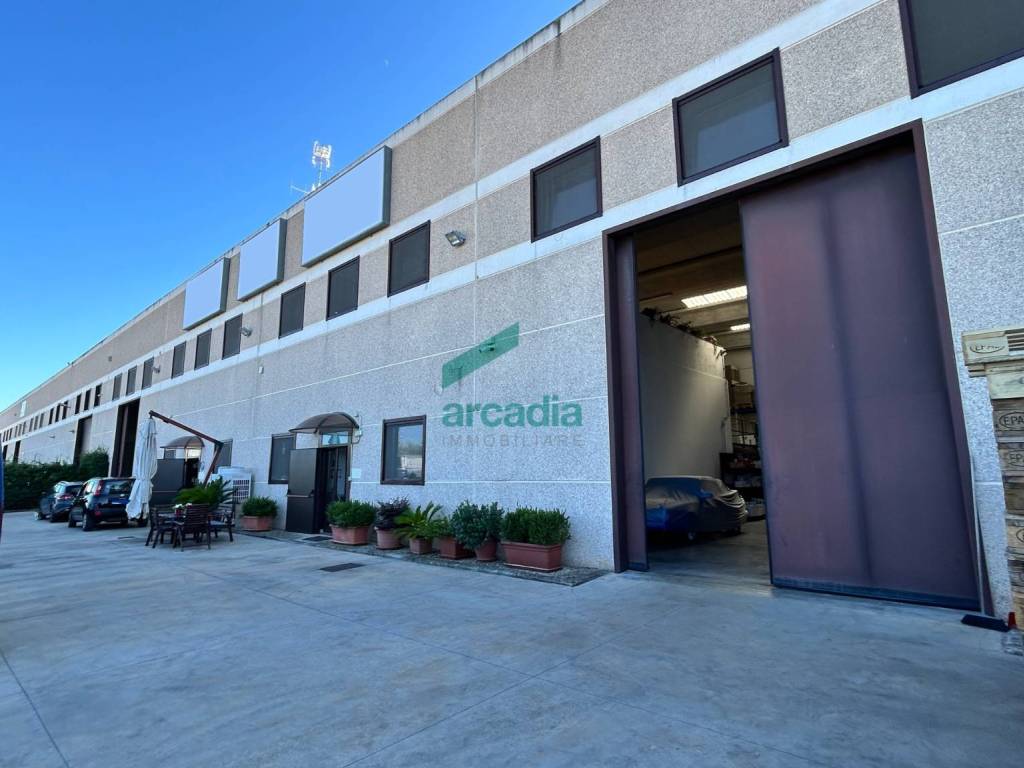 immagine annuncio 1 di 5