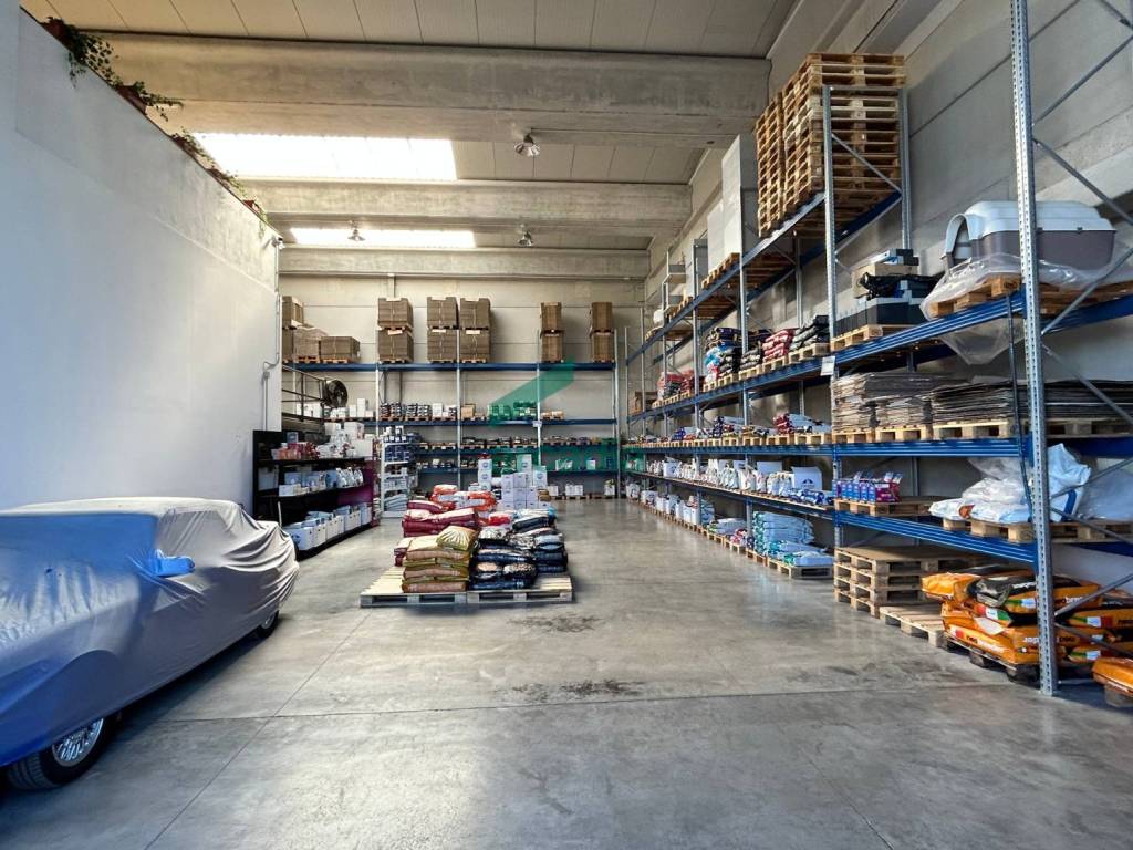 immagine annuncio 2 di 5