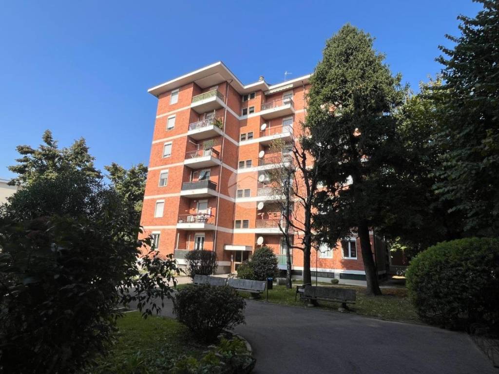 immagine annuncio 1 di 5