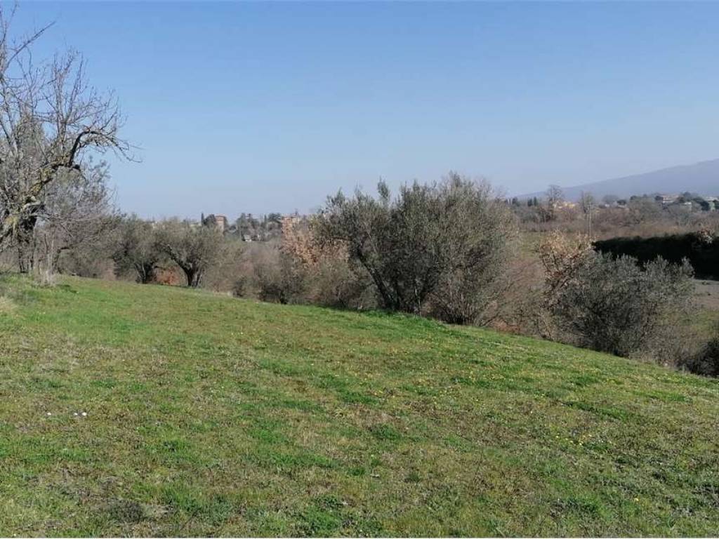 immagine annuncio 3 di 4