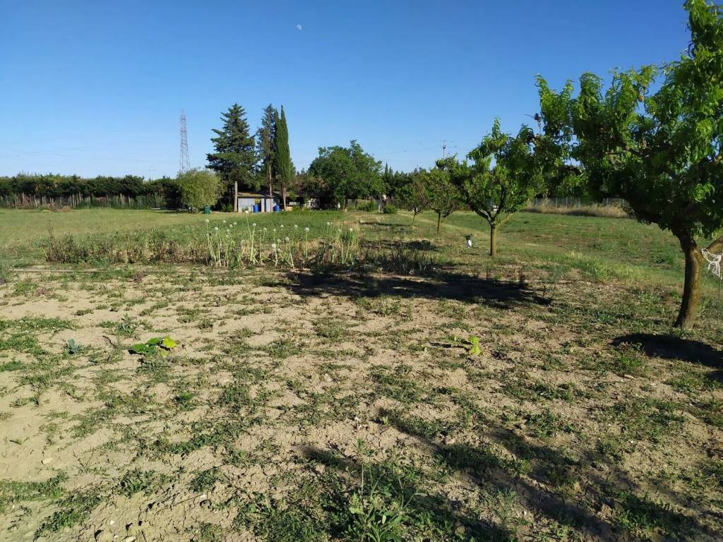 immagine annuncio 1 di 2