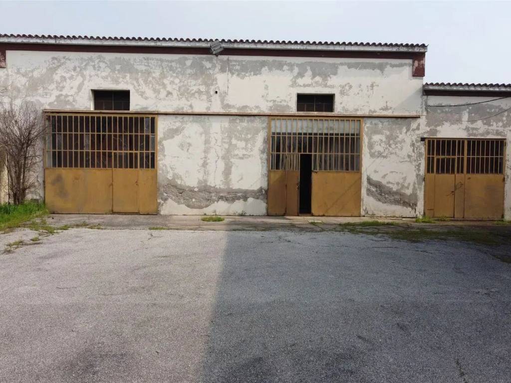 immagine annuncio 1 di 2