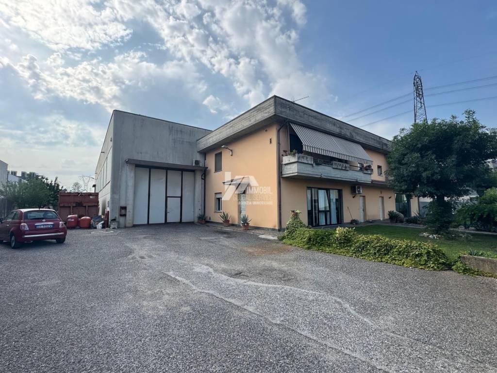 immagine annuncio 2 di 5