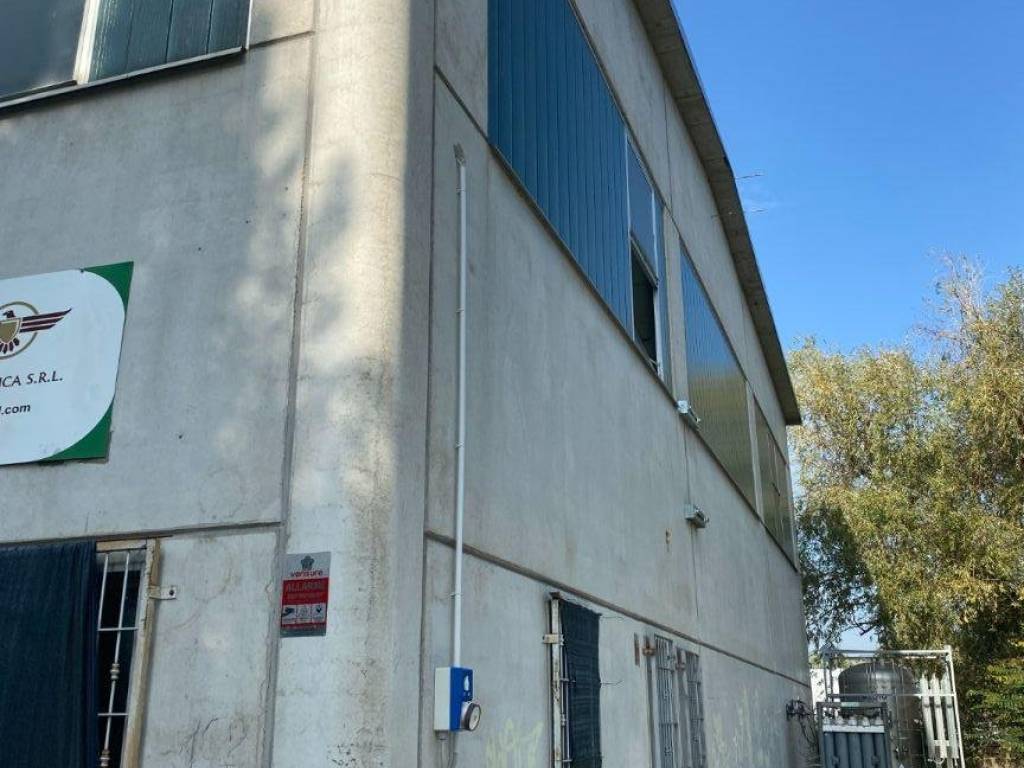 immagine annuncio 3 di 5