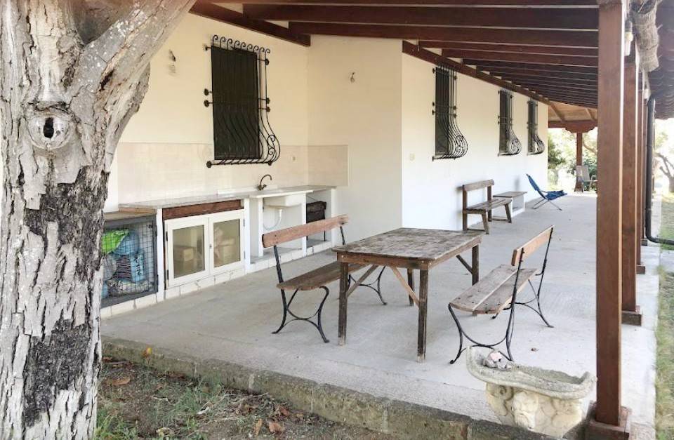 immagine annuncio 4 di 5