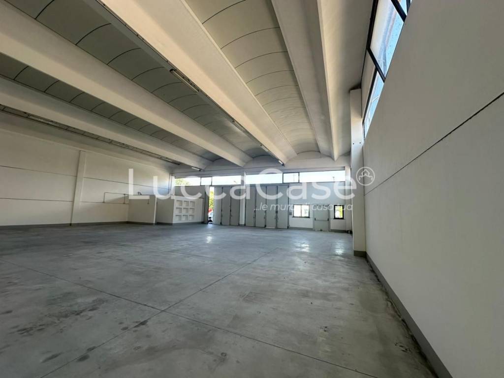 immagine annuncio 2 di 4