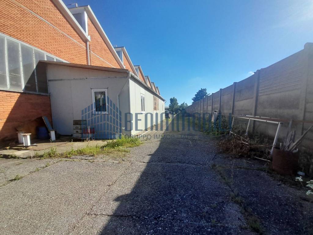 immagine annuncio 1 di 5