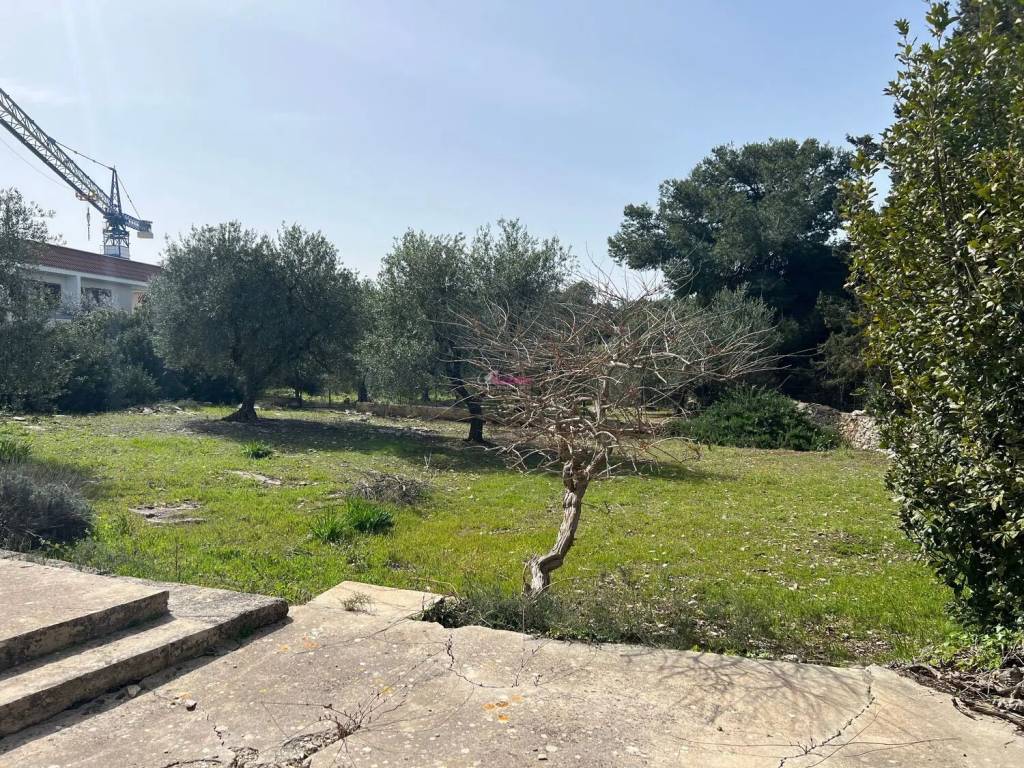 immagine annuncio 3 di 4