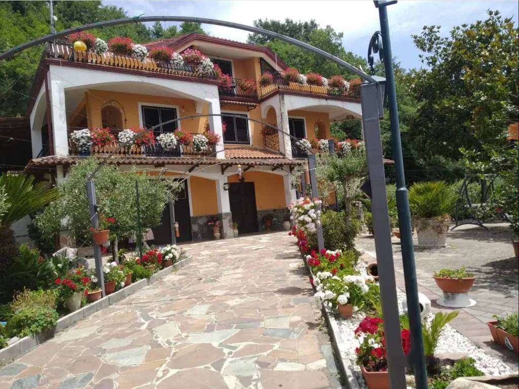 immagine annuncio 1 di 3