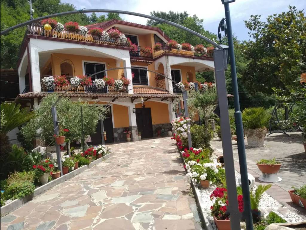 immagine annuncio 2 di 3