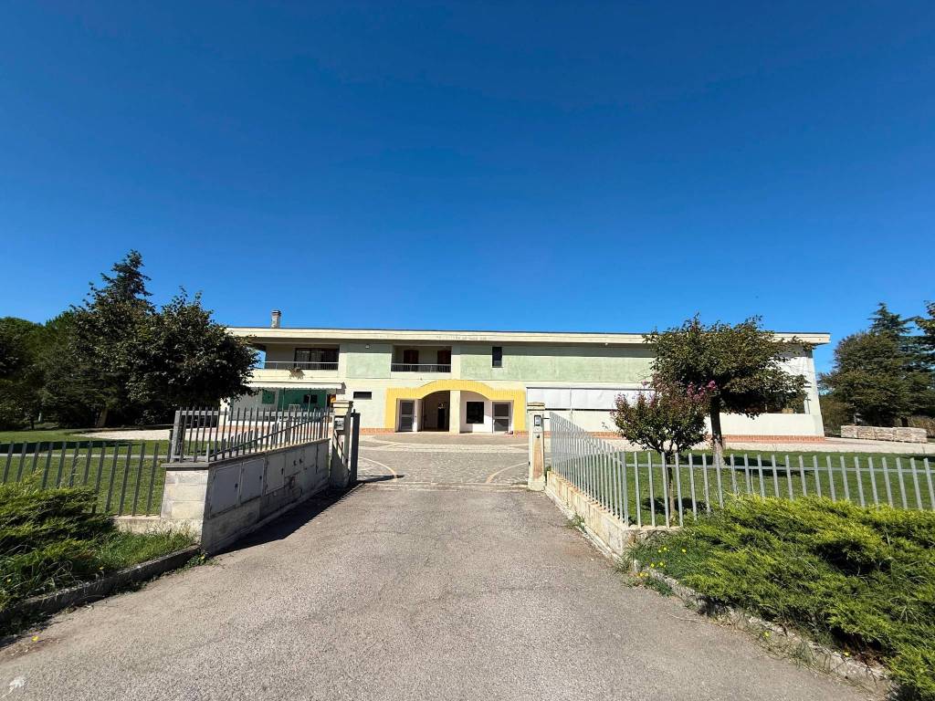 immagine annuncio 3 di 5