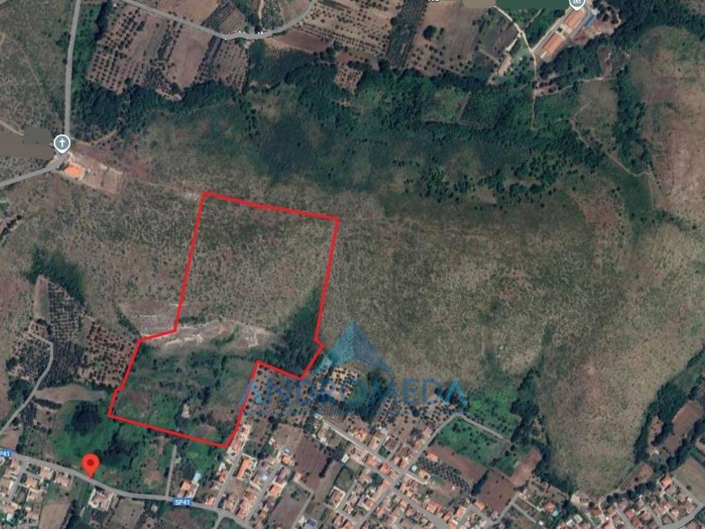 immagine annuncio 1 di 2