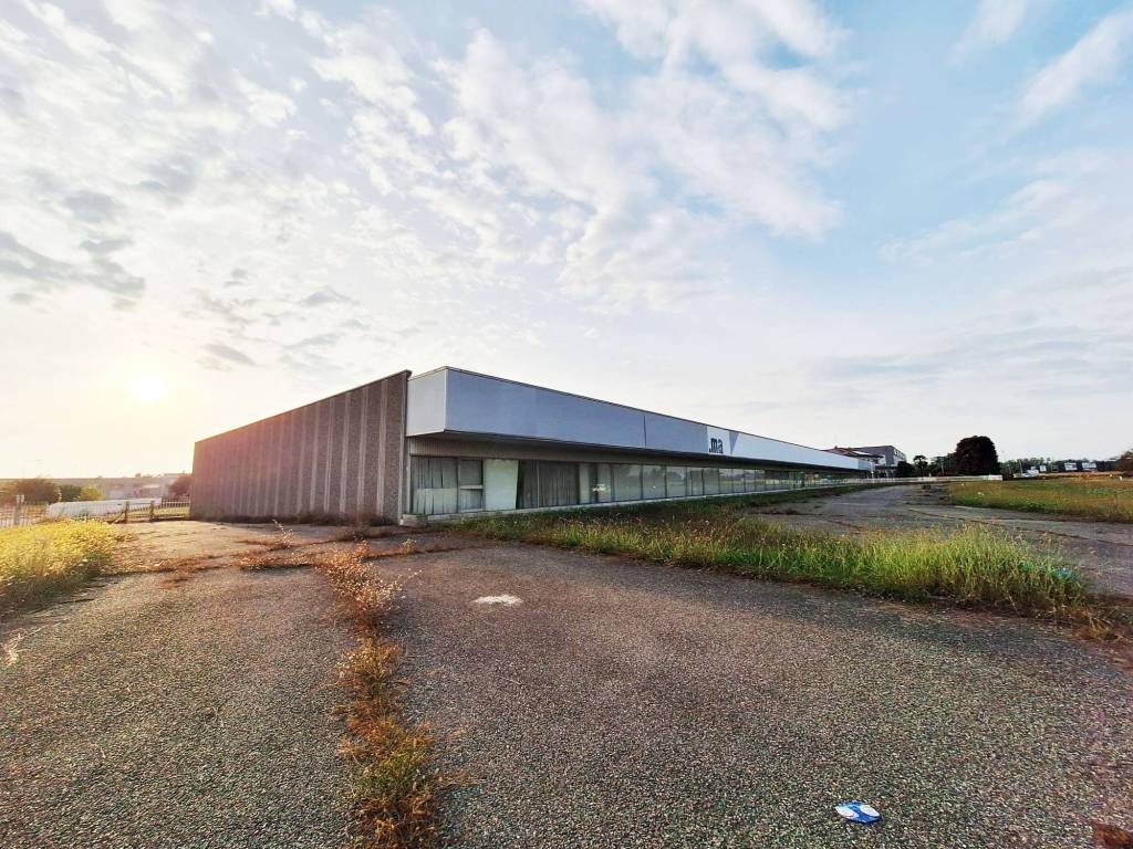 immagine annuncio 2 di 5