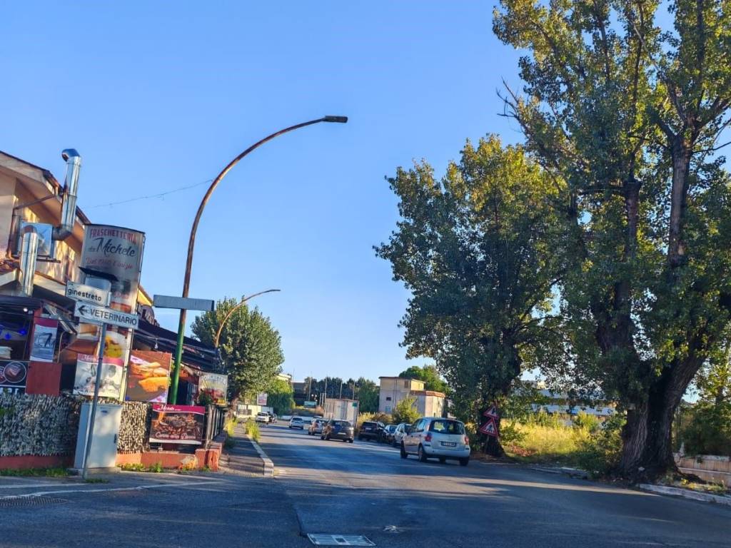 immagine annuncio 3 di 4