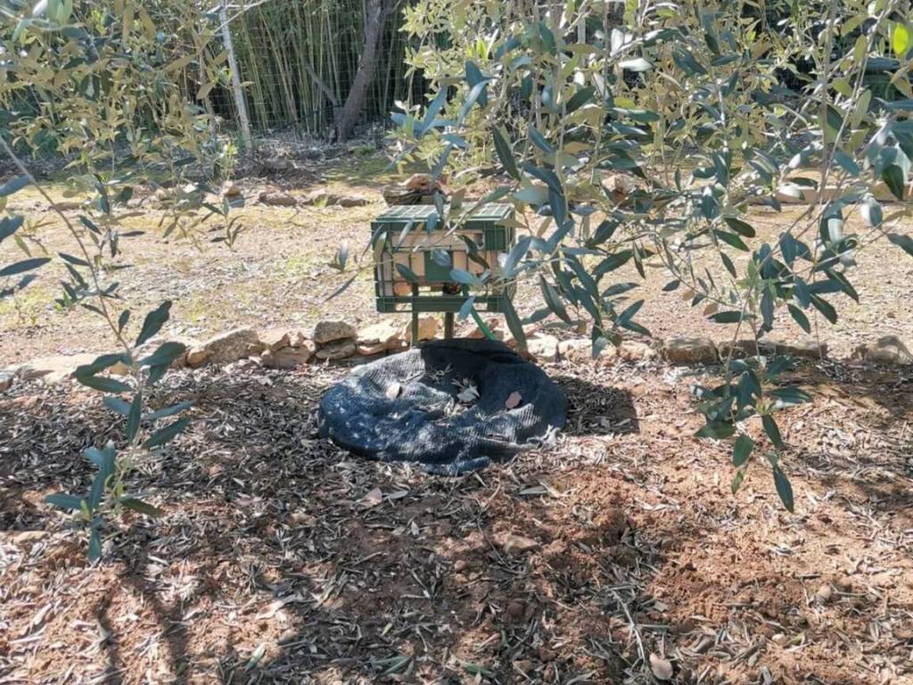 immagine annuncio 3 di 5