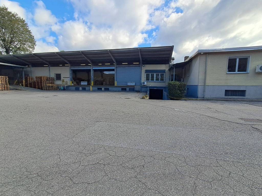 immagine annuncio 4 di 5