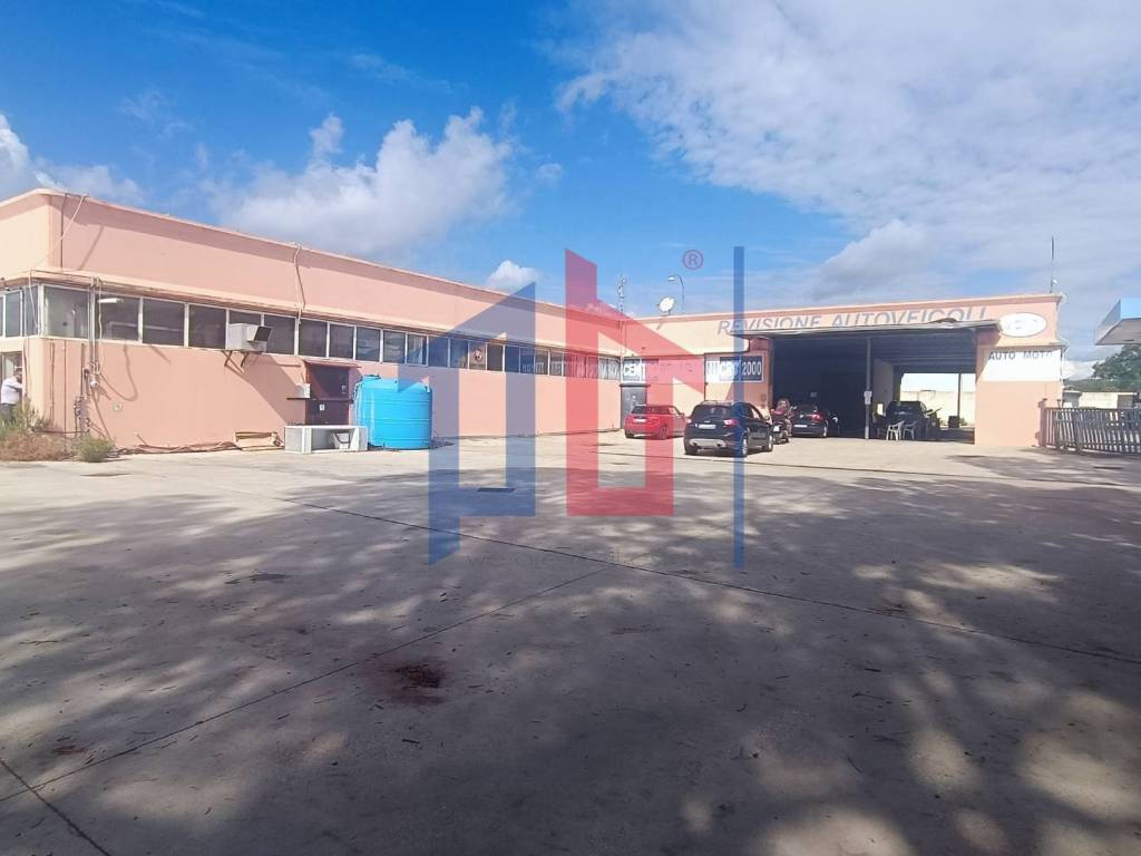 immagine annuncio 4 di 5