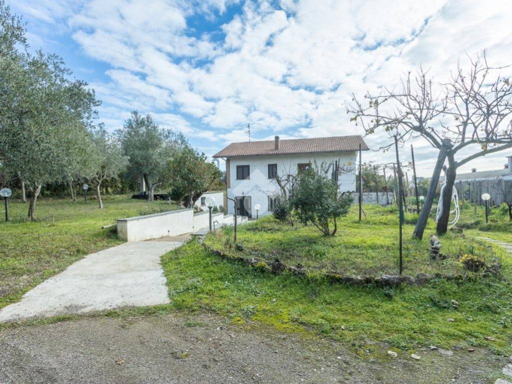 immagine annuncio 2 di 4