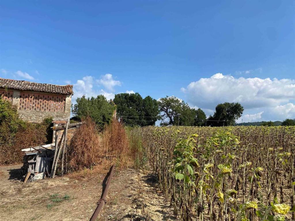 villa in vendita a Città di Castello in zona Santa Lucia