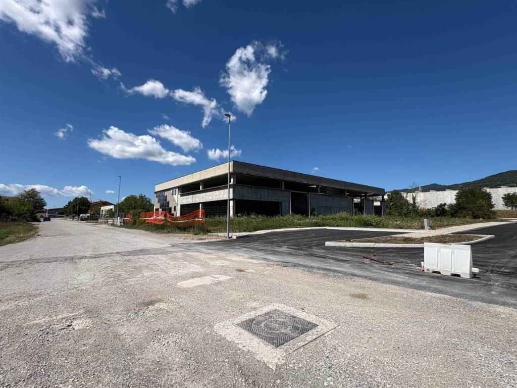 immagine annuncio 1 di 4