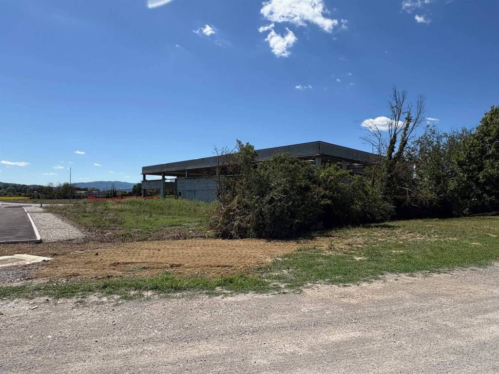 immagine annuncio 2 di 4