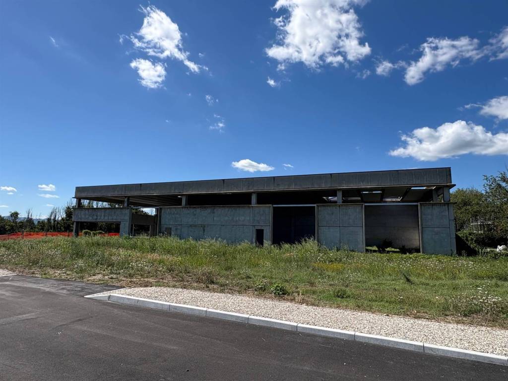 immagine annuncio 3 di 4