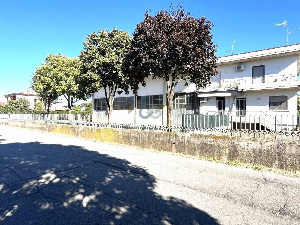immagine annuncio 4 di 5