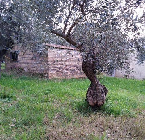 immagine annuncio 1 di 3