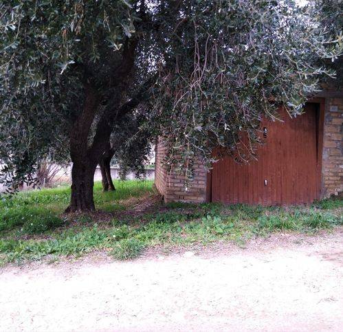 immagine annuncio 2 di 3