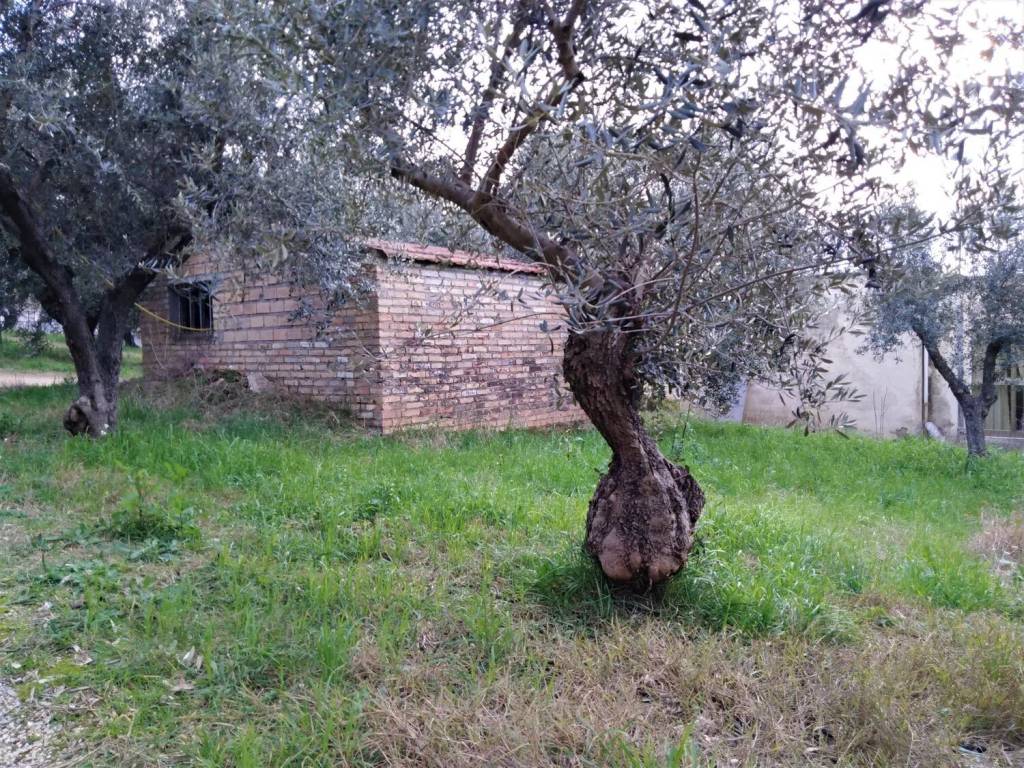 immagine annuncio 1 di 3