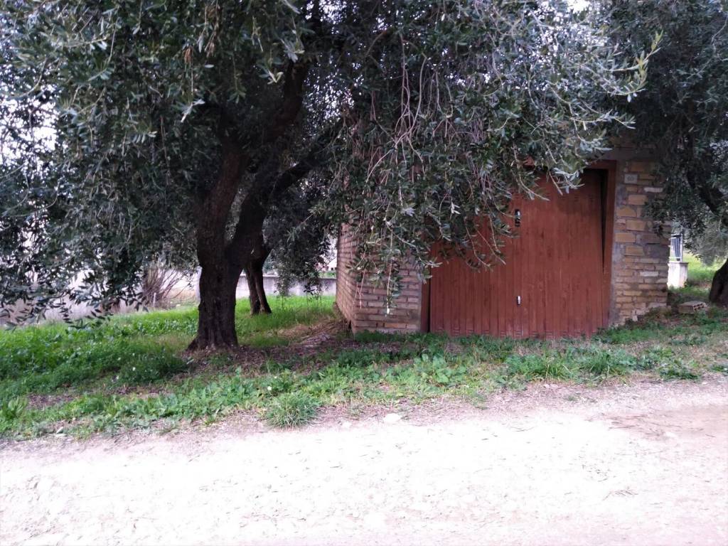 immagine annuncio 2 di 3