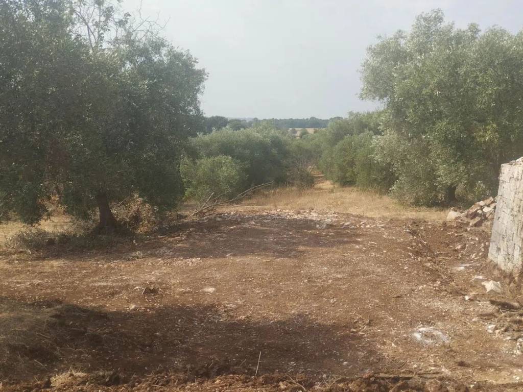 immagine annuncio 1 di 4