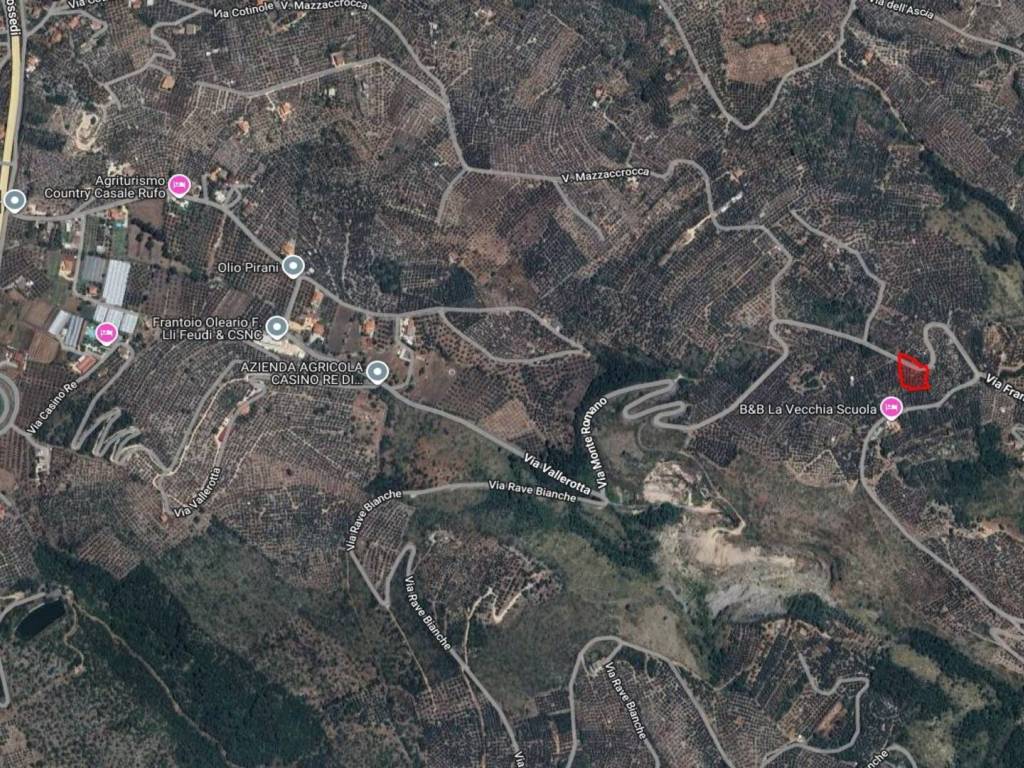 immagine annuncio 2 di 4