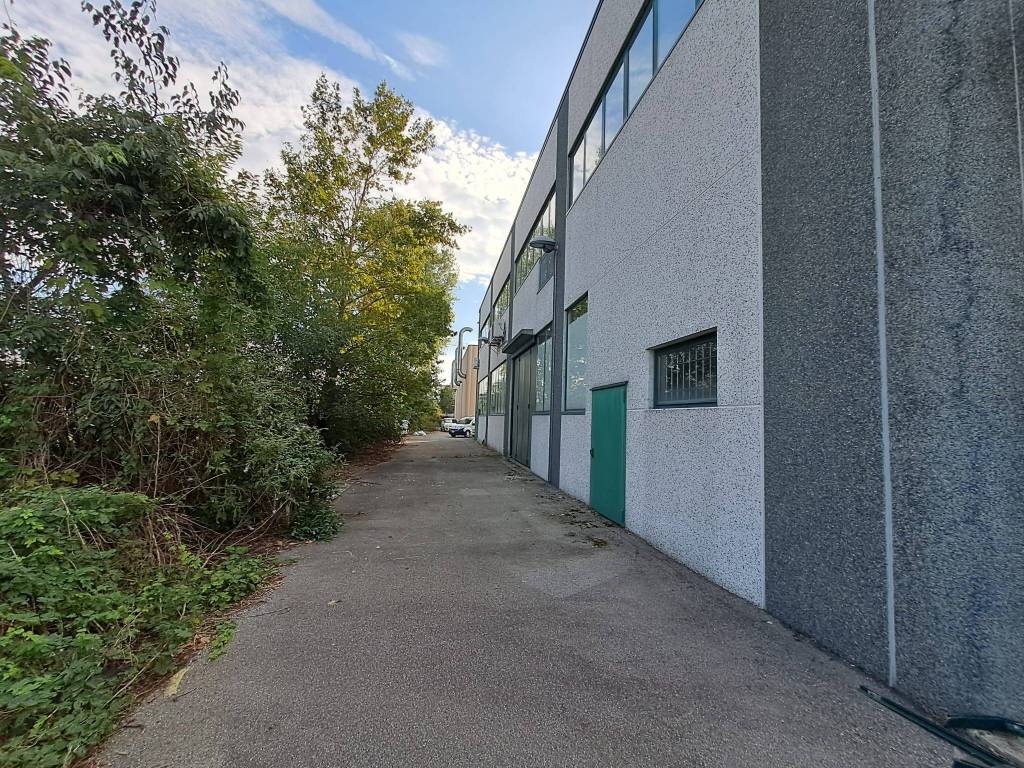 immagine annuncio 4 di 5